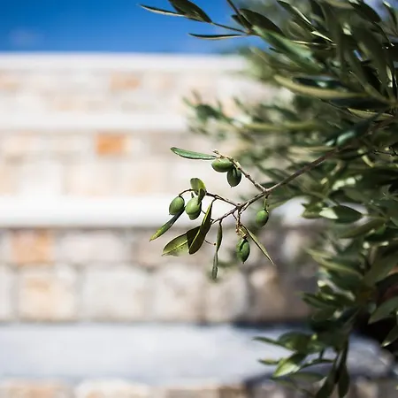 Apulia Relais
