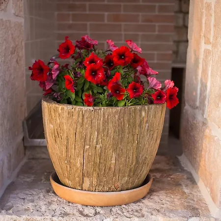 Hébergement de vacances Apulia Relais